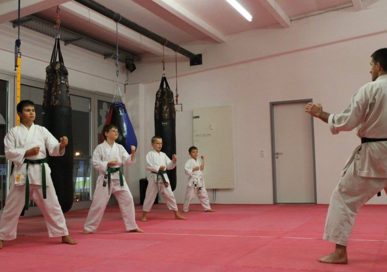 11.Karate