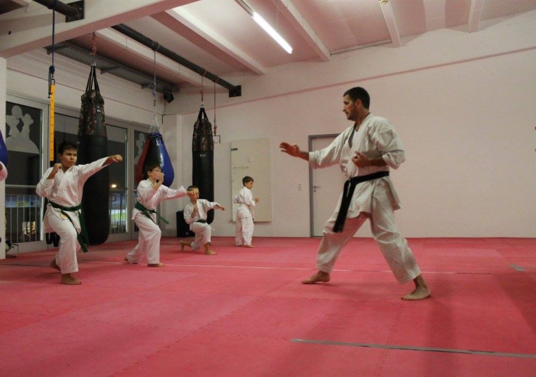 15.Karate