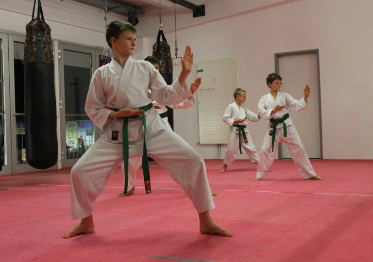 26.Karate